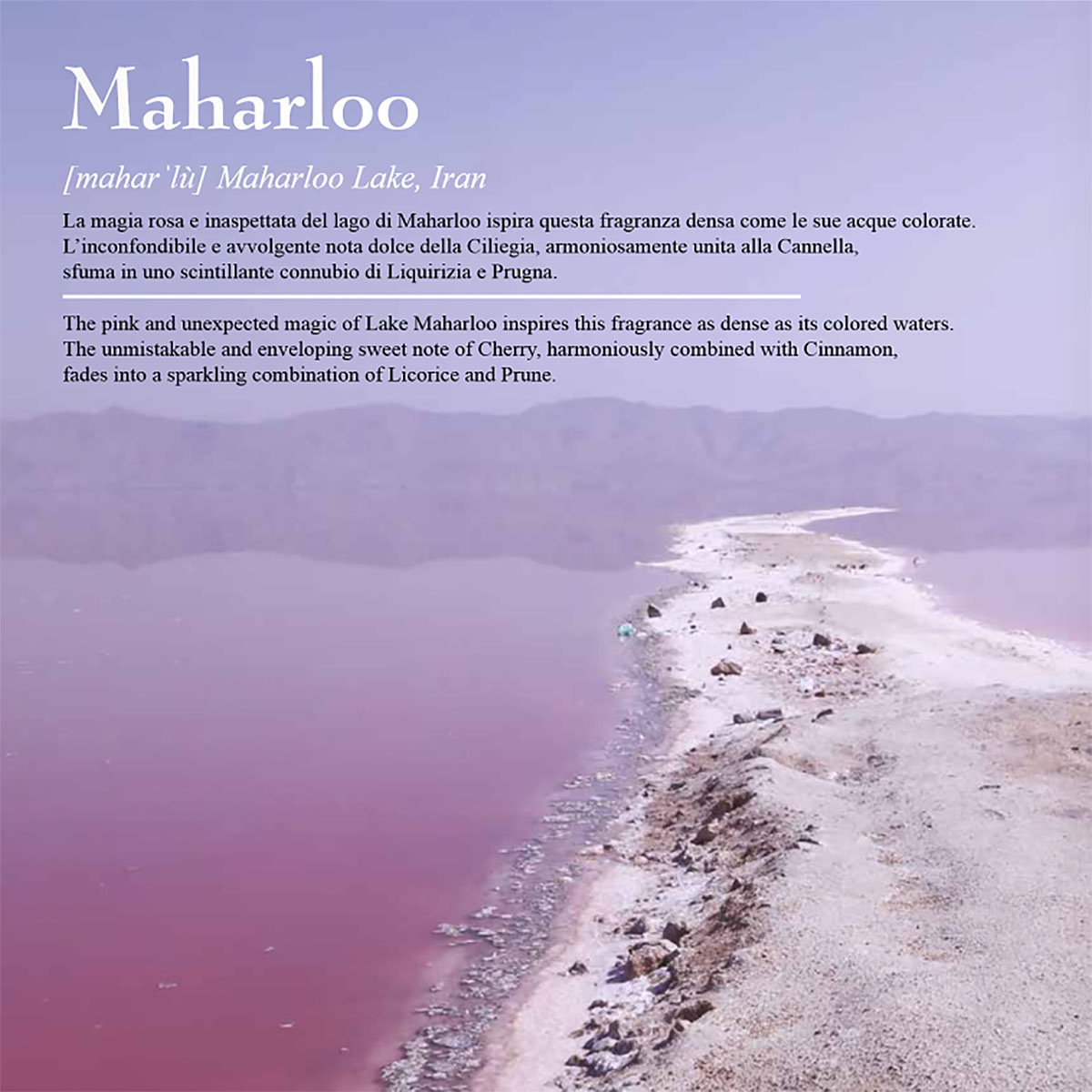 OLFATTOLOGY Maharloo Extrait de Parfum Spray 100ml