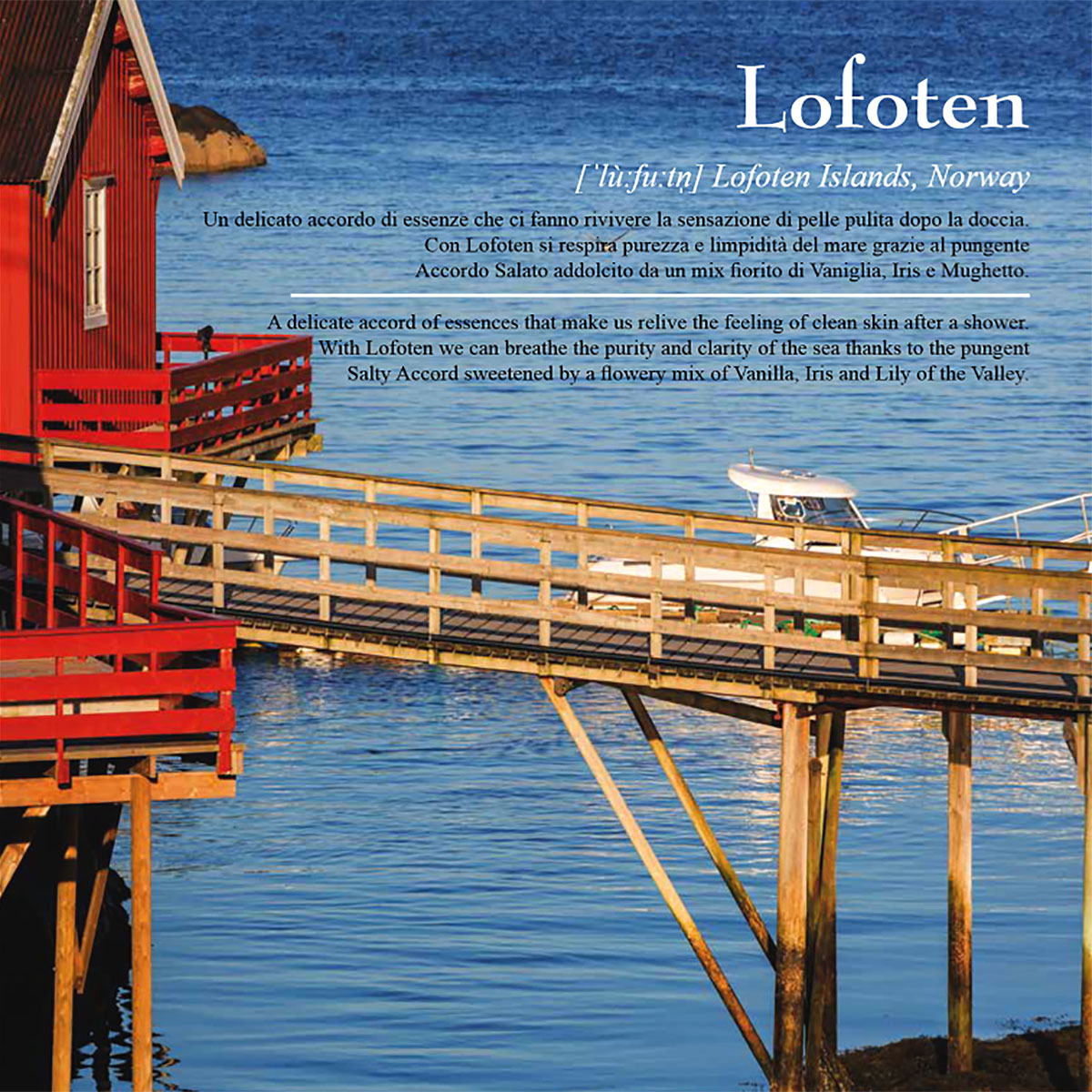 OLFATTOLOGY Lofoten Extrait de Parfum Spray 100ml