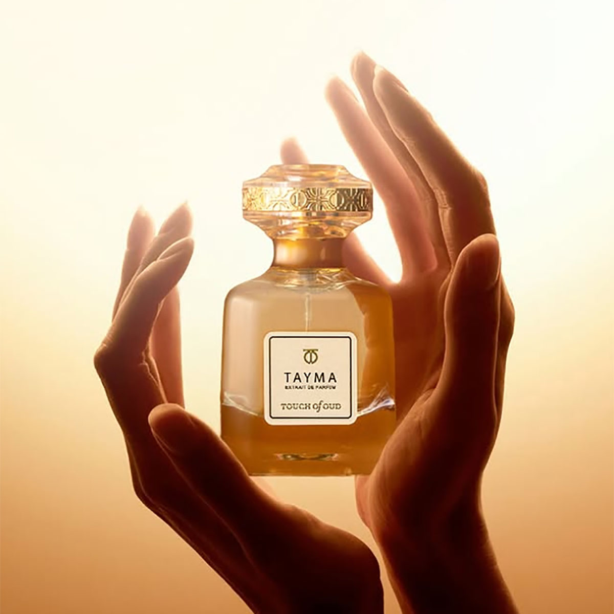 TOUCH of OUD Tayma Extrait de Parfum Spray 80ml