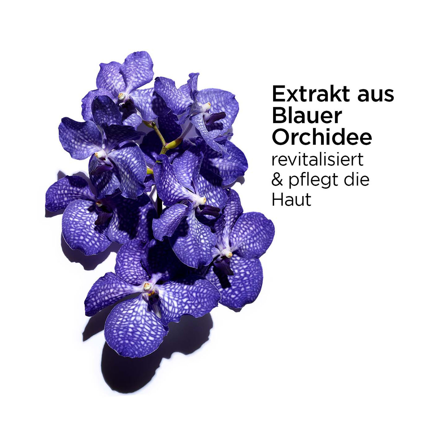 CLARINS Aroma Huile Orchidée Bleu 30ml