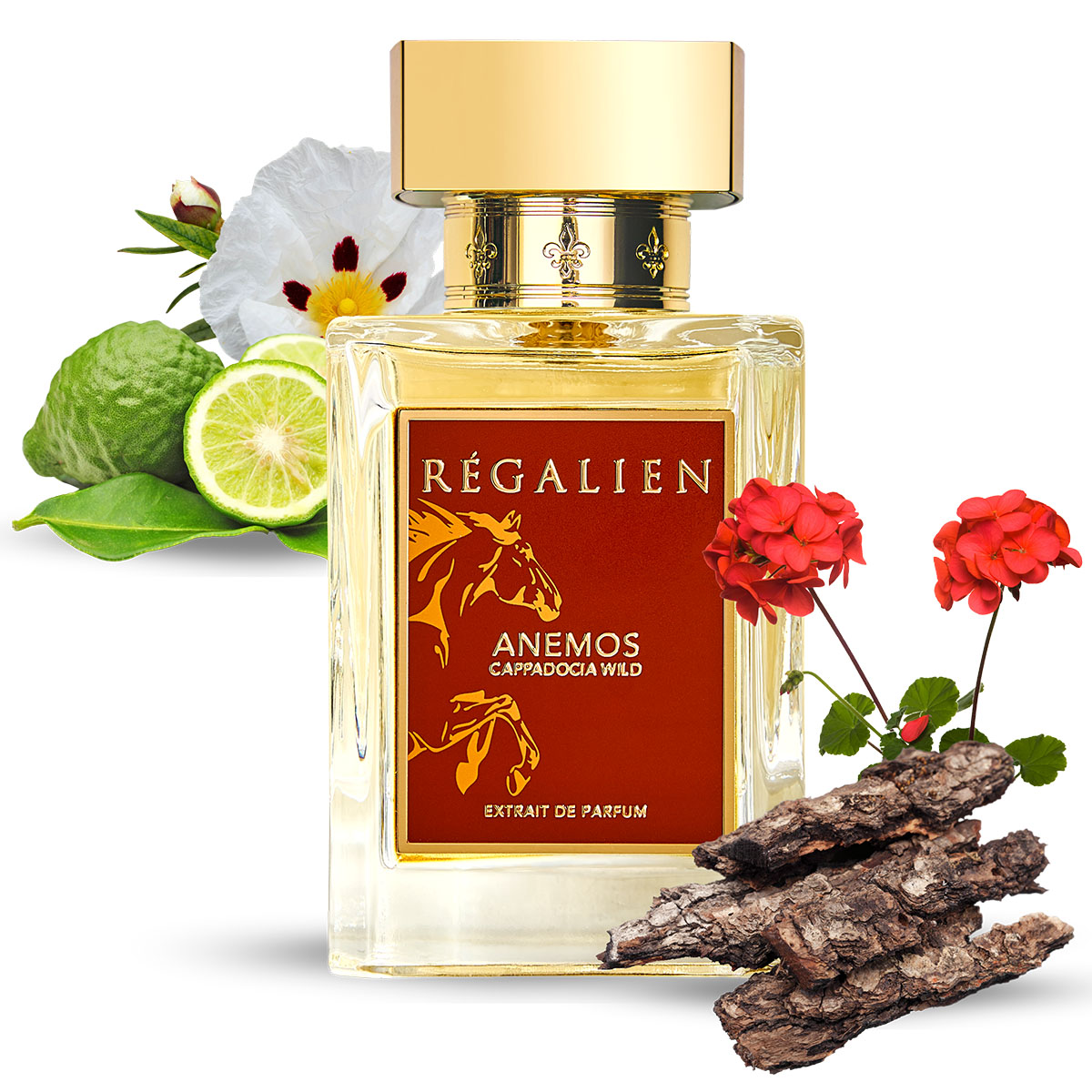 RÉGALIEN Anemos Cappadocia Wild Extrait de Parfum Spray 80ml