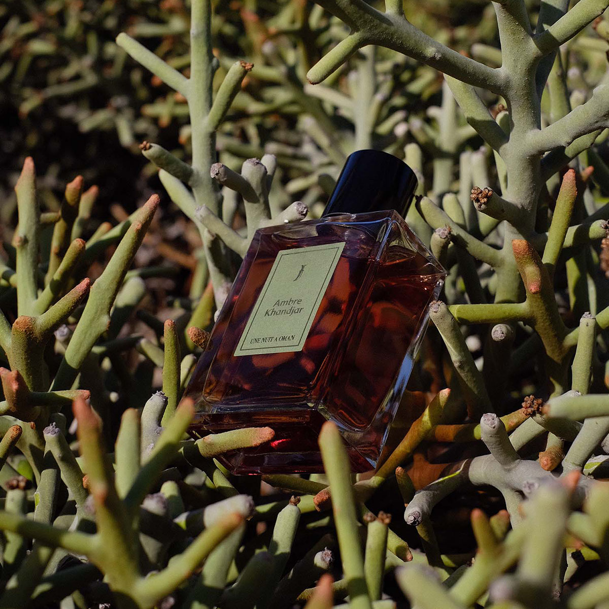 UNE NUIT NOMADE Ambre Khandjar Eau de Parfum Spray 25ml
