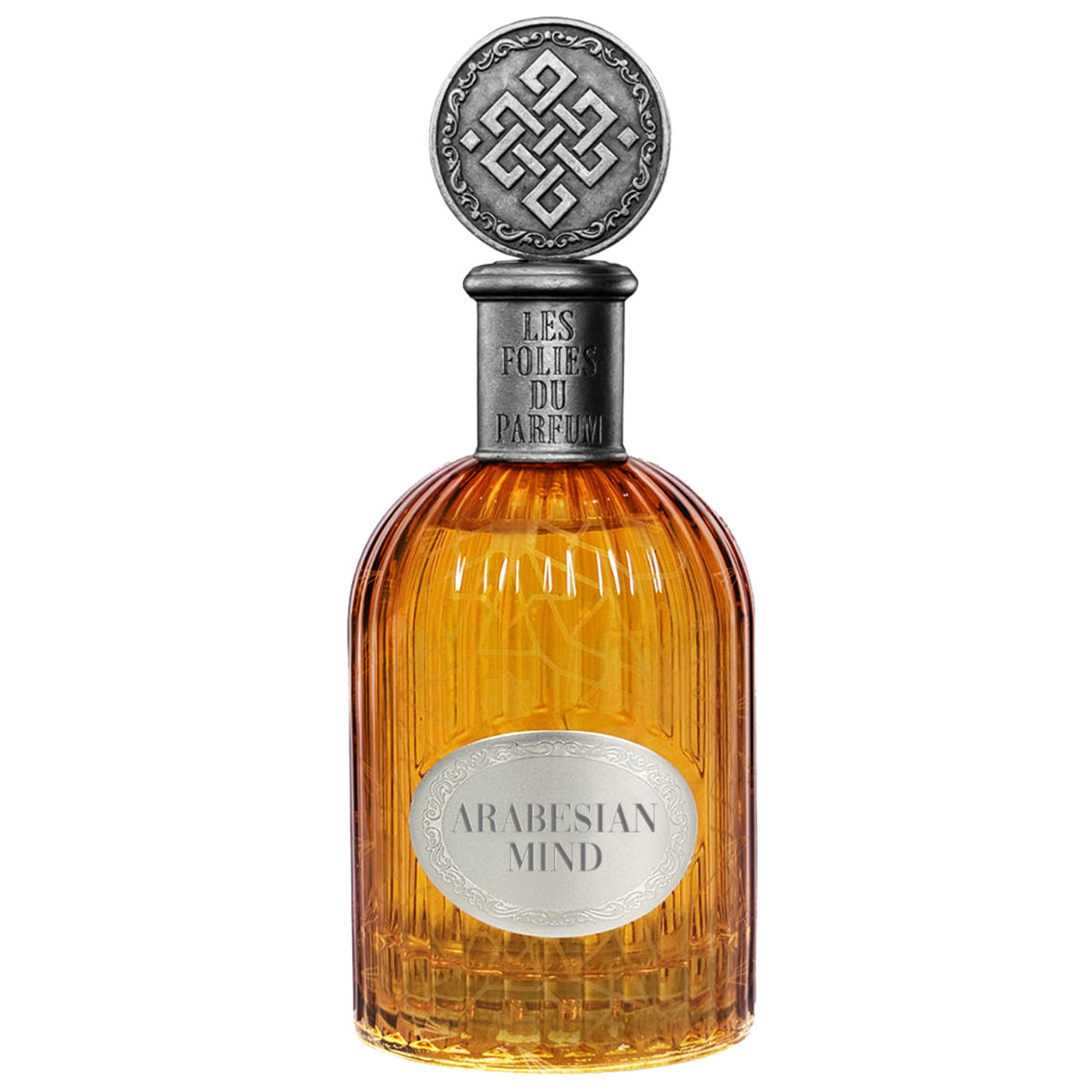 LES FOLIES DU PARFUM Arabesian Mind Extrait de Parfum Spray 100ml