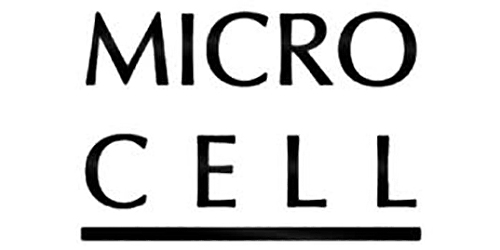 MICRO CELL MICRO CELL