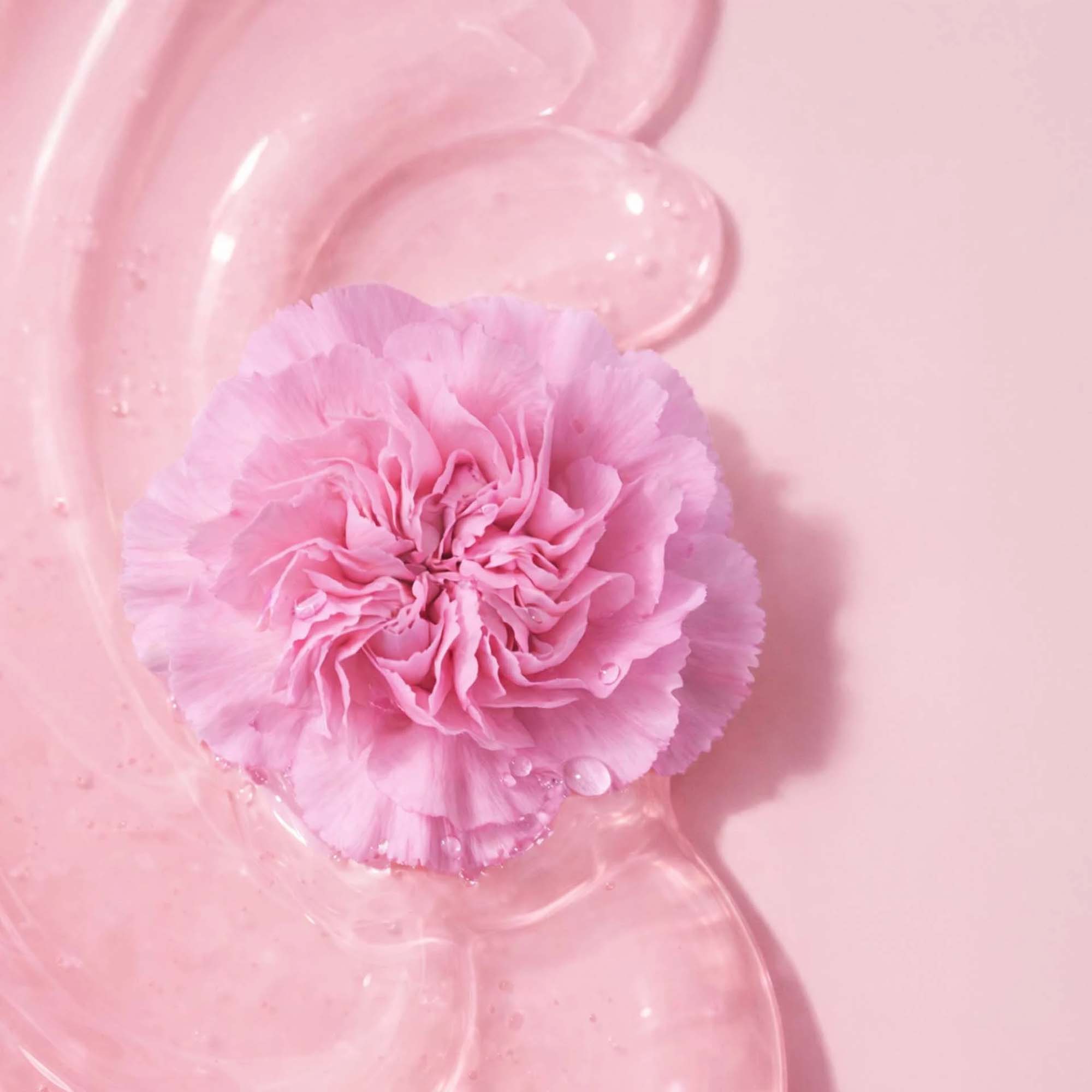ANNEMARIE BÖRLIND Lip Oil 7ml - Cherry Blossom