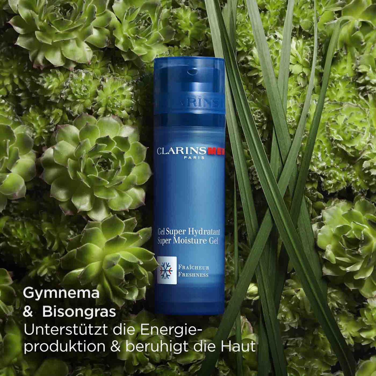 CLARINSMEN Gel Super Hydratant 50ml