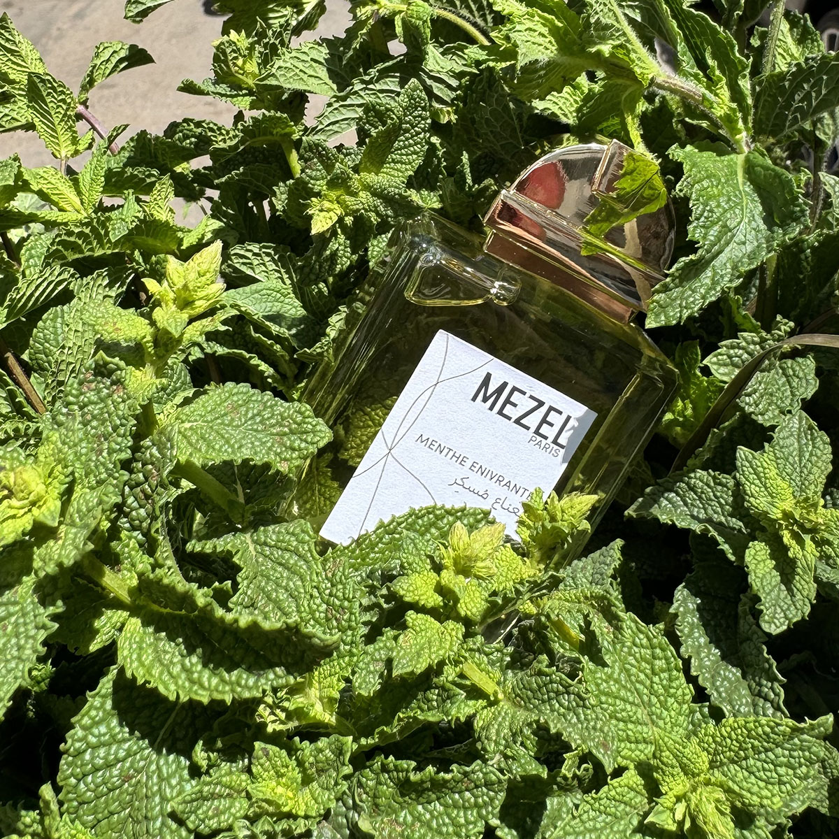 MEZEL Menthe Enivrante Eau de Parfum Spray 100ml