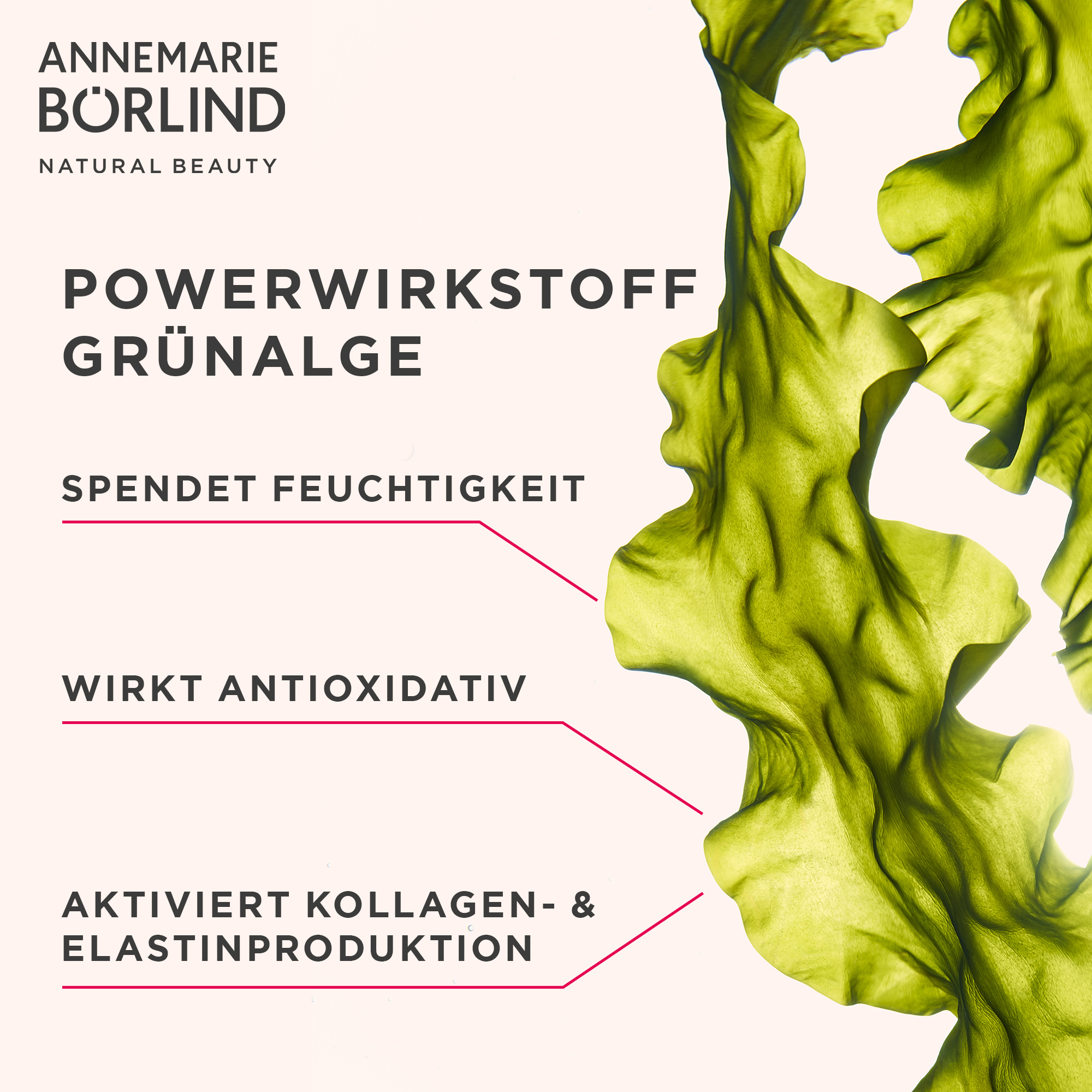 ANNEMARIE BÖRLIND SYSTEM ABSOLUTE Sanfte Reinigungsemulsion 120ml