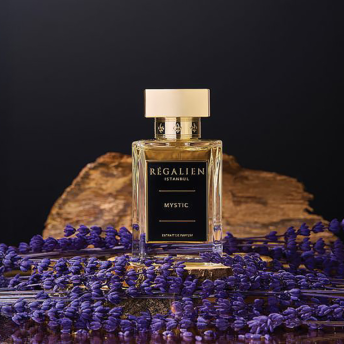 RÉGALIEN Mystic Extrait de Parfum Spray 80ml
