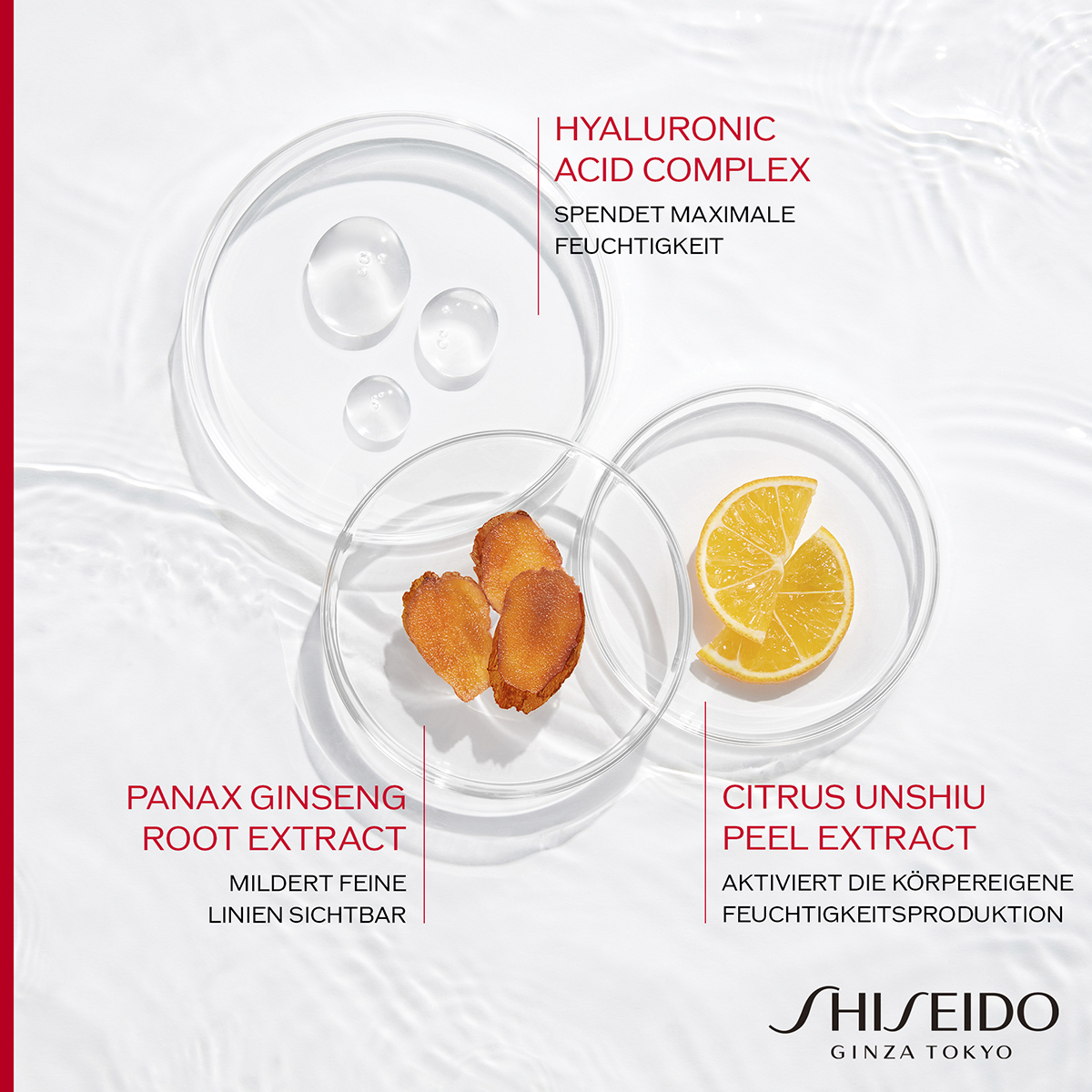 Shiseido Essential Energy Hydrating Cream Refill 50ml