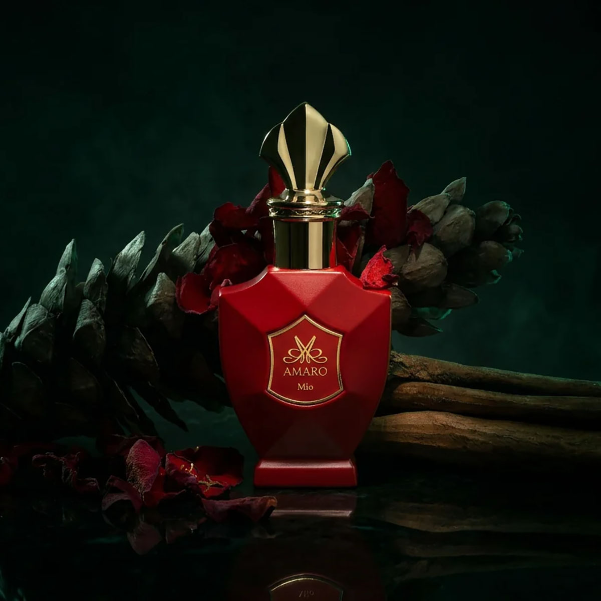 AMARO Mio Extrait de Parfum Spray 50ml