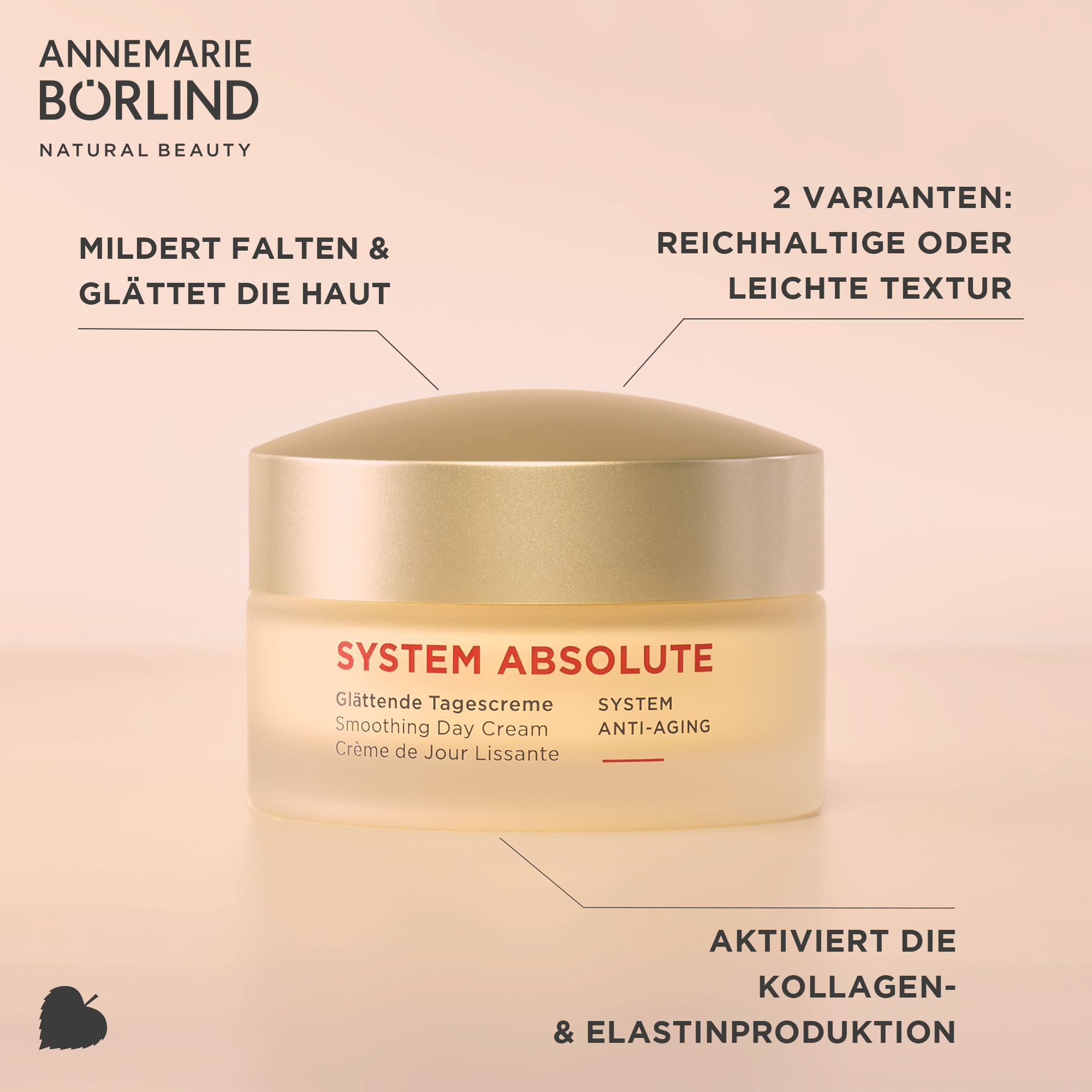 ANNEMARIE BÖRLIND SYSTEM ABSOLUTE Glättende Tagescreme 50ml