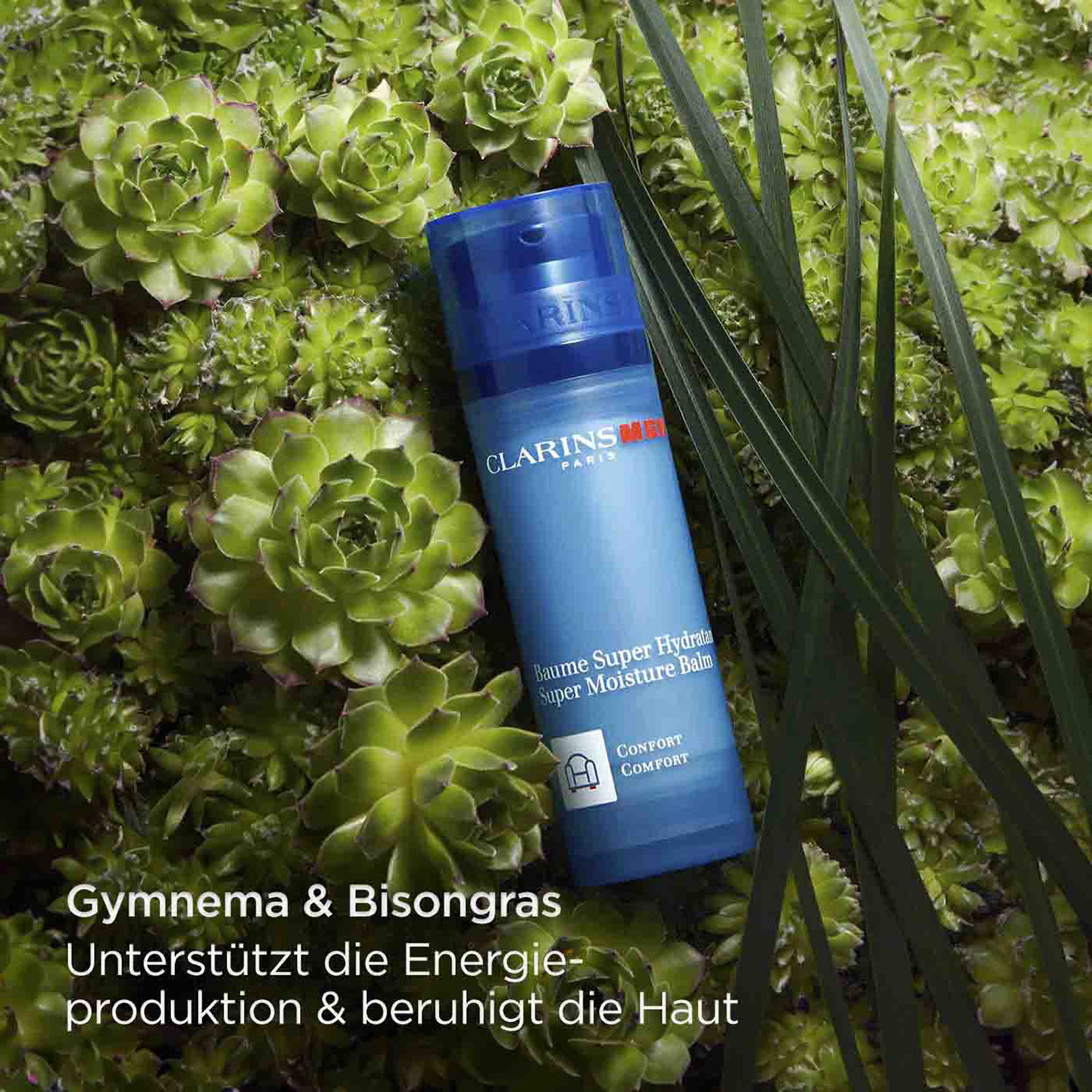 CLARINSMEN Baume Super Hydratant 50ml