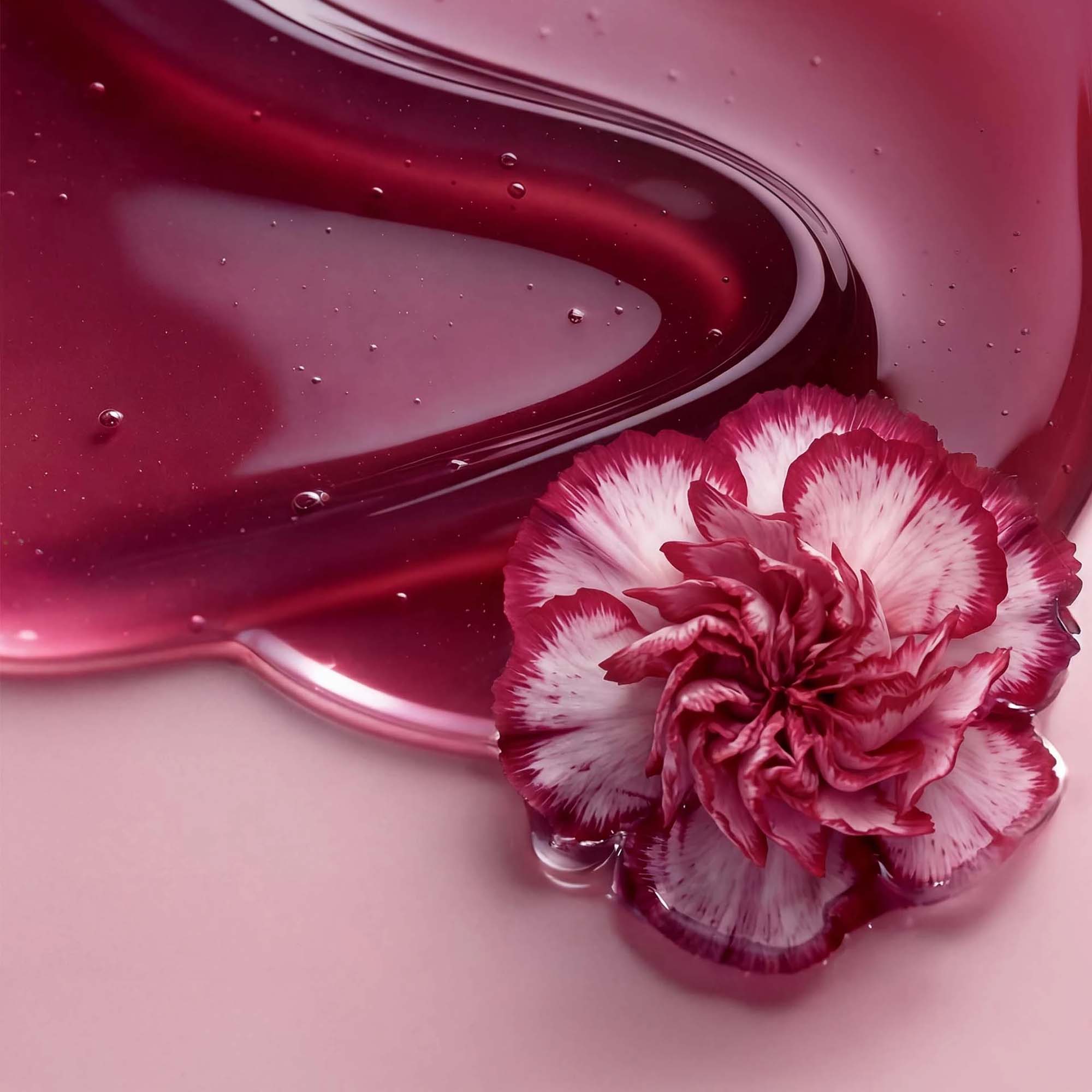 ANNEMARIE BÖRLIND Lip Oil 7ml - Wild Fuchsia