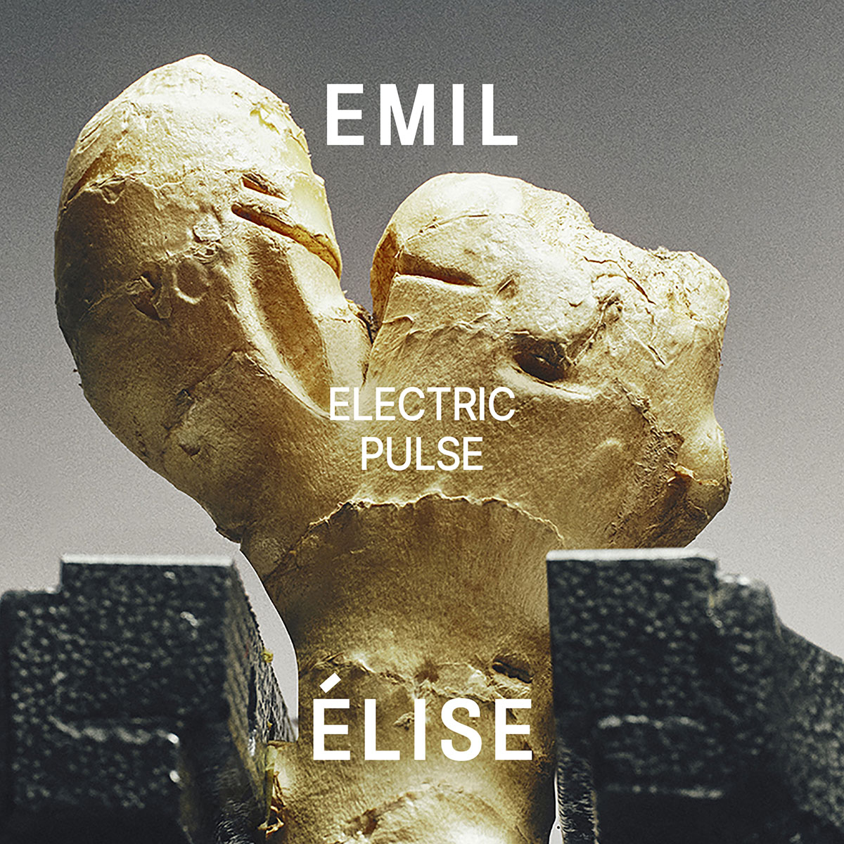 Emil Élise Electric Pulse Extrait de Parfum Spray 50ml